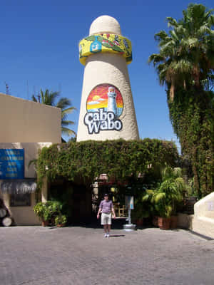 Cabo Wabo Cantina Entrance Wallpaper