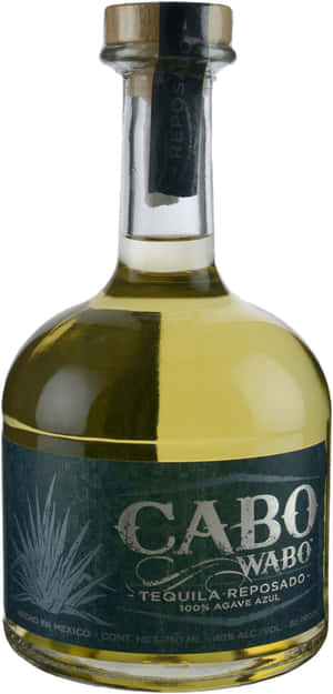 Cabo Wabo Reposado Tequila Bottle Wallpaper