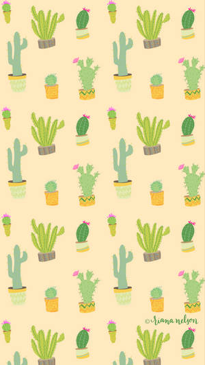 Cacti And Succulents Together For An Unforgettable Party Wallpaper