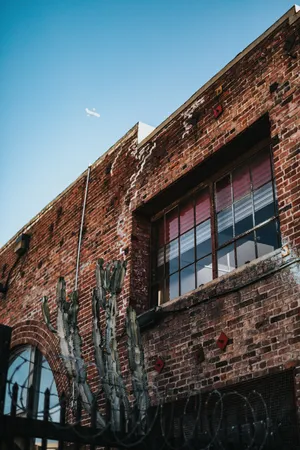 Cactus Brick Building Wallpaper
