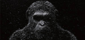 Caesar Planet Of The Apes Trilogy Wallpaper