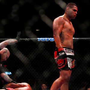 Cain Velasquez Versus Antonio Silva Wallpaper