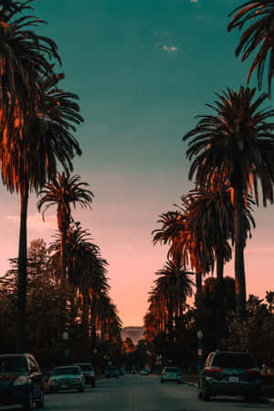 California Aesthetic During Sunset Wallpaper