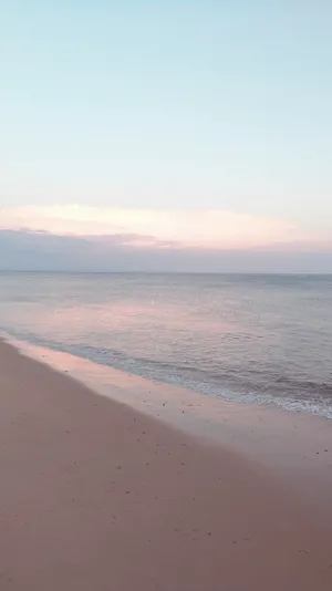 Calm Aesthetic Clear Wallpaper