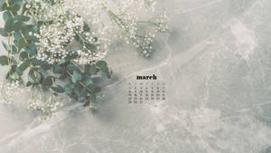 Calm Aesthetic March Calendar Wallpaper