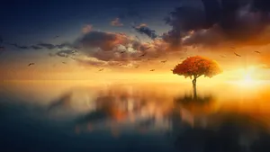 Calm Aesthetic Tree Wallpaper