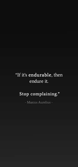 Calm Enigma Of Stoicism Wallpaper