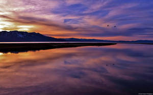 Calm Lake Sunset View Microsoft Wallpaper