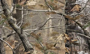 Camo Tree In Forest Wallpaper