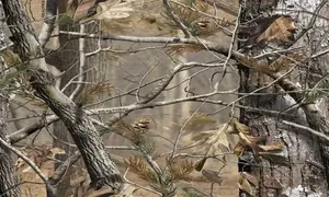 Camo Tree In Forest Wallpaper