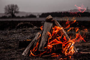 Campfire Photography Wallpaper