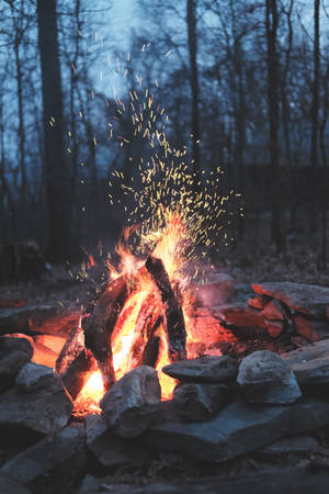 Campsite Bonfire