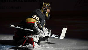 Canadian Goaltender Marc Andre Fleury Wallpaper