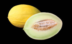 Canary Melon In Graphic Wallpaper