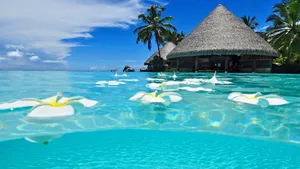 Cancun Mexico Beach Wallpaper