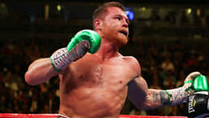 Canelo Alvarez In Match Wallpaper