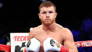 Canelo Alvarez Portrait Wallpaper