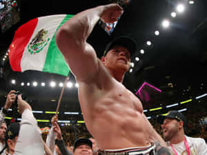 Canelo Alvarez, The King Of The Ring Wallpaper