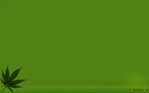 Cannabis Margin Design Wallpaper
