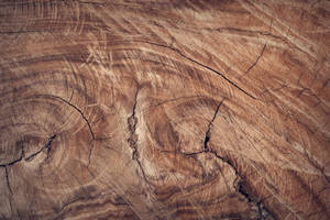 Canyon Wood Texture Wallpaper