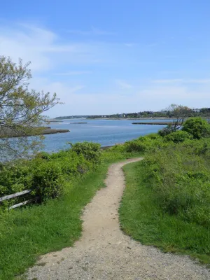 Cape Cod Trail Overlooking The Sea Wallpaper