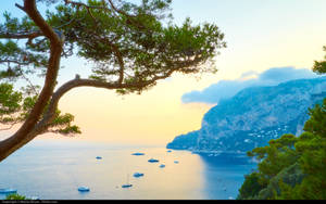 Capri Italy Ocean And Mountain Wallpaper