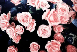 Caption: Aesthetic Pink Floral Theme For Girl's Phone Wallpaper