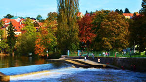 Caption: Breathtaking Landscape Of Moldova's Nature Park Wallpaper