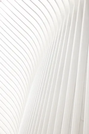 Caption: Bright White Minimalist Design Wallpaper