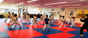 Caption: Diligent Young Karate Students Training In A Traditional Dojo Wallpaper