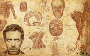 Caption: Dr. Gregory House Immersed In Medical Study Wallpaper