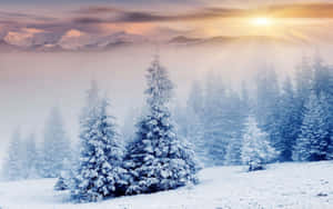 Caption: Experience The Serenity Of A Winter Wonderland Wallpaper