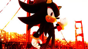 Caption: Intense Moment With Shadow The Hedgehog Wallpaper