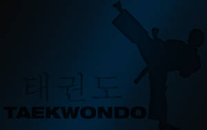 Caption: Mastering The Art Of Taekwondo Wallpaper