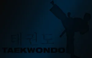 Caption: Mastering The Art Of Taekwondo Wallpaper