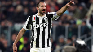 Caption: Passionate Moment Of Giorgio Chiellini On Pitch Wallpaper