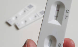 Caption: Rapid Covid-19 Testing Kit Strips Wallpaper