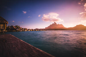 Caption: Spectacular Over-water Bungalows In French Polynesia Wallpaper