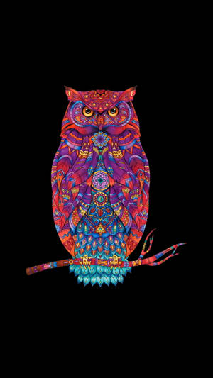 Caption: Stunning And Colorful Owl Hd Tattoo Art Image Wallpaper