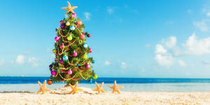 Caption: Vibrant Australian Christmas Under The Blue Sky Wallpaper