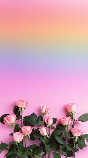 Caption: Vibrant Rainbow Flower For Iphone Wallpaper Wallpaper