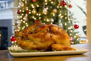 Captivating Christmas Turkey Wallpaper