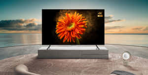 Captivating Commercial On 4k Tv Wallpaper
