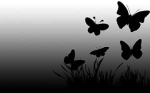 Captivating Dark Butterfly Wallpaper