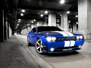 Captivating Dodge Challenger Srt-8 In Jazz Blue Wallpaper