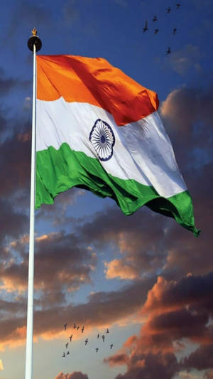 Captivating Indian Flag Mobile Wallpaper