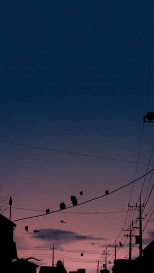 Captivating Iphone Photography - An Artistic Tumblr Lens Wallpaper