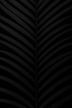 Captivating Matte Black Palm Leaf Wallpaper