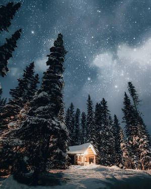 Captivating Old Aesthetic Christmas Tradition Wallpaper