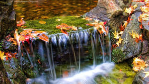 Captivating Serenity Of A Waterfall Wallpaper